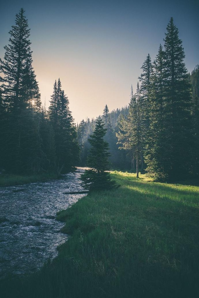 Eco-Exploradores del Tiempo: ¡Los nueve Tiempos del Inglés!" 🌲🔍🌊